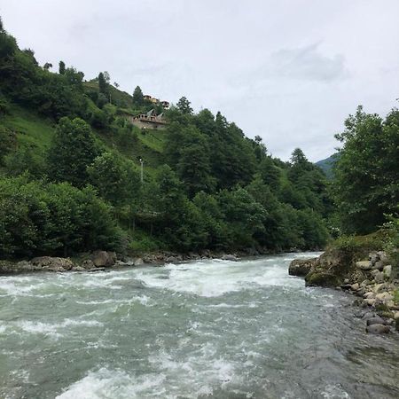 Afara Bungalows Otel & Cafe Rize Kültér fotó