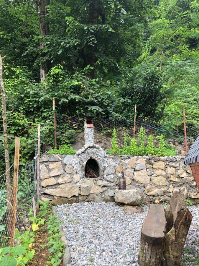 Afara Bungalows Otel & Cafe Rize Kültér fotó